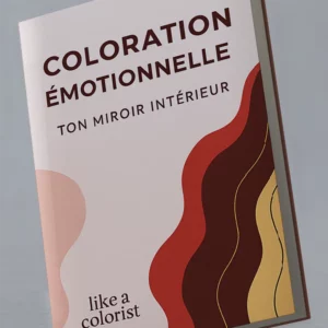 Pack Clarté : eBook + synthèse de votre introspection