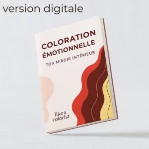 Pack Clarté : eBook (version digitale) + synthèse de votre introspection